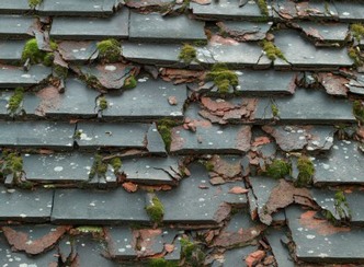 Moss-covered roof tiles pictured on the original website